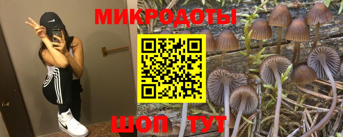 Галлюциногенные грибы прущие грибы  Псилоцибиновые грибы GOLDEN TEACHER  Вход с VPN  Еманжелинск 